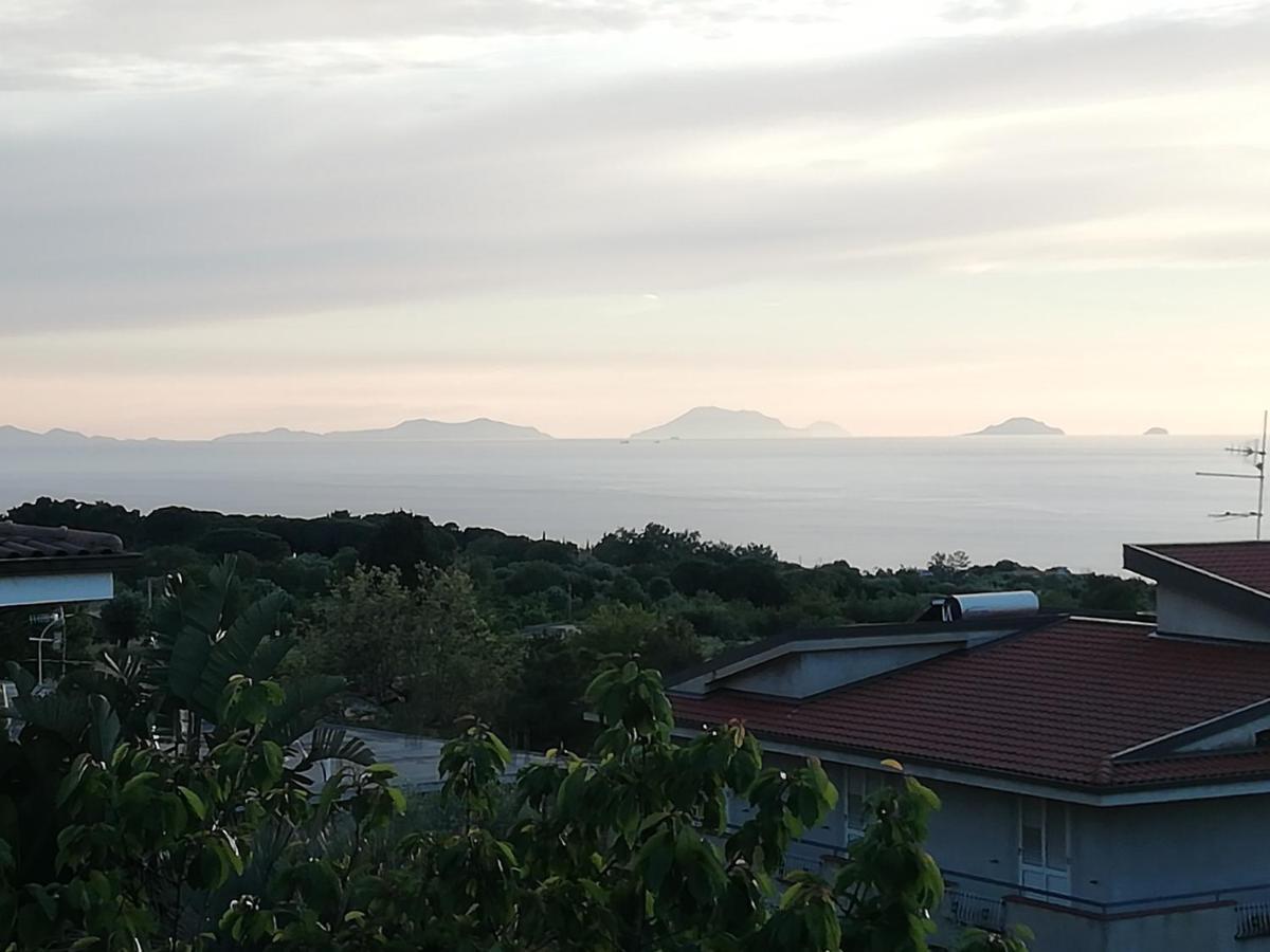 B&B Villa Orchidea Ricadi Eksteriør bilde