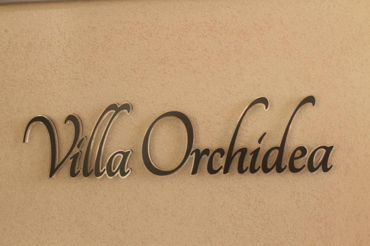 B&B Villa Orchidea Ricadi Eksteriør bilde