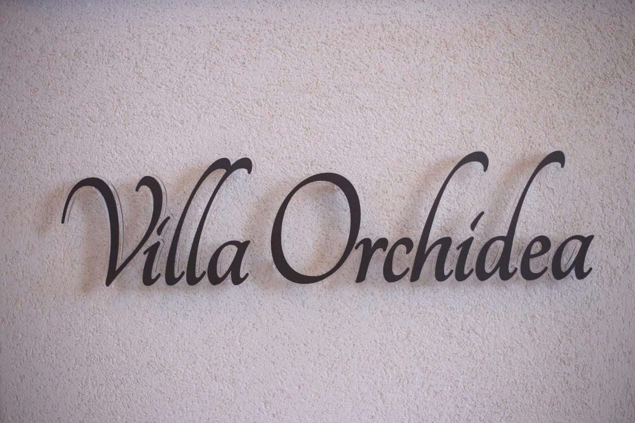 B&B Villa Orchidea Ricadi Eksteriør bilde