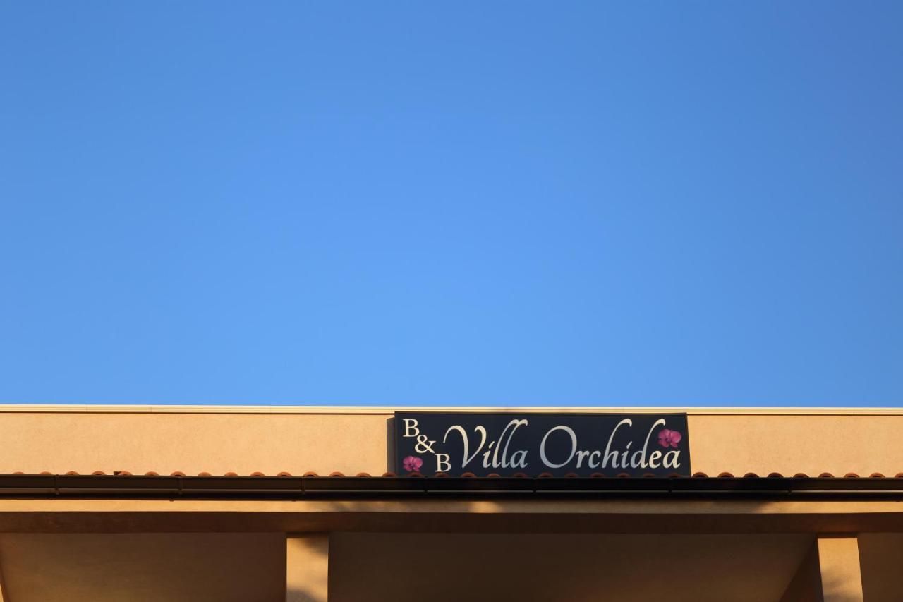 B&B Villa Orchidea Ricadi Eksteriør bilde