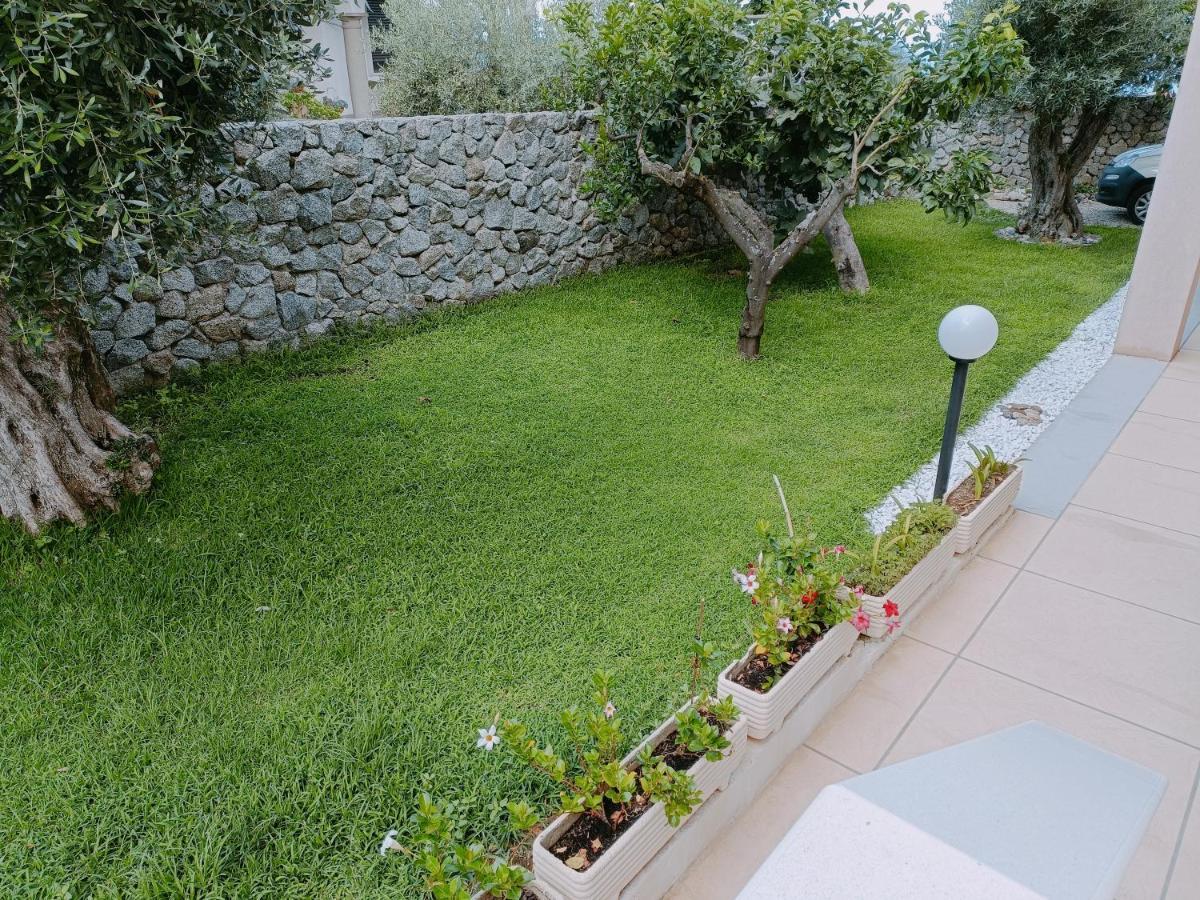 B&B Villa Orchidea Ricadi Eksteriør bilde
